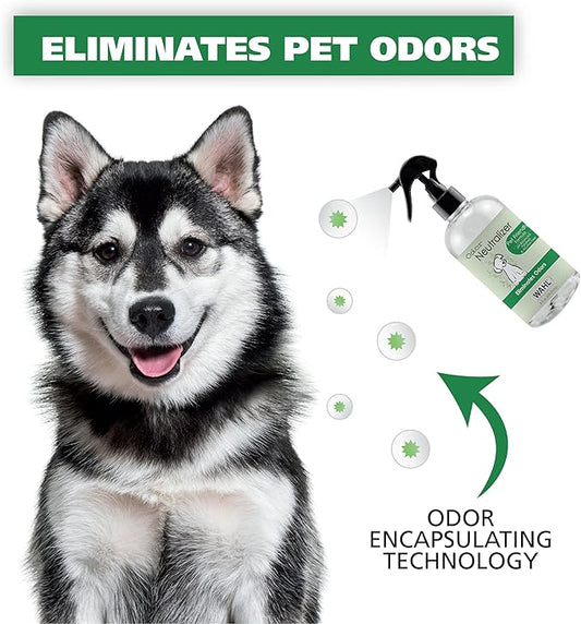 Wahl USA Scent Free Pet Odor Neutralizer Spray for Dogs Skin and Coat Perfect for Between Baths – 8 oz – Model 820012