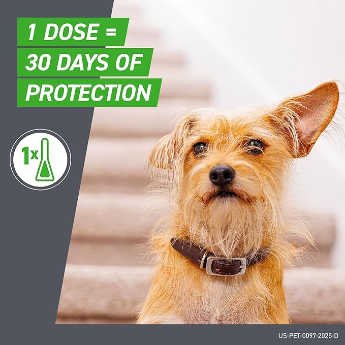 FRONTLINE Plus Flea and Tick Treatment for Medium Dogs Up to 23 to 44 lbs. 8 Treatments