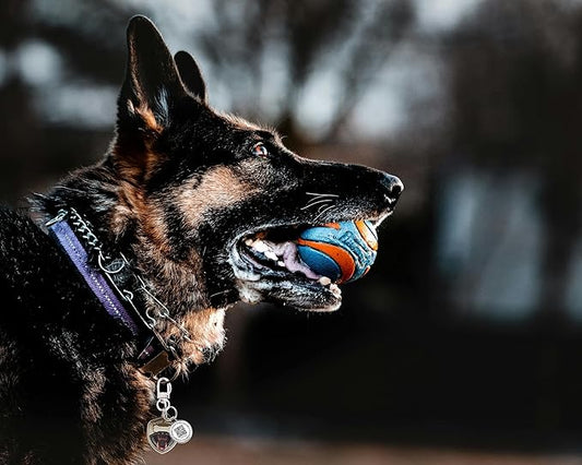 Dog Tags Personalized QR Code Dog Tags, Retro Brass Personalized Pet ID Tags Modifiable Pet Online Profile, (German Shepherd-1)