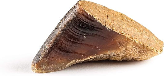 Jack&Pup Filled Cow Hooves for Dogs; Stuffed Dog Chew Hoofs (5 Pack) Cow Hoofs for Dogs. Natural Dog Chews, Filled Dog Bones (Bully Stick Flavor)