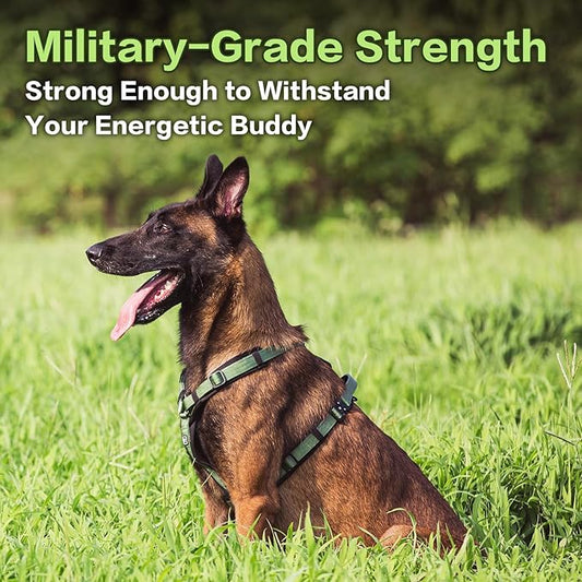 PawsPassion Dog Harness for X-Large Dogs, No Pull Dog Harness Easy Walk with Metal Hardware, Ergonomic Y-Shaped Design, Soft Padding, Padded Handle, Durable High-Tensile Nylon (Evergreen, XL)