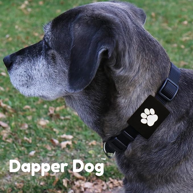 Dapper Dog Pet Tag Silencer and AirTag Holder (Black with White Paw)