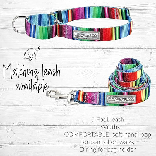 Lucky Love Dog Martingale Collar and Leash Set, Premium No Slip Collar and Leash Set, Colorful Striped Martingale Dog Collar, Great for Whippets, Greyhounds, and More (Small, Nacho - Combo)
