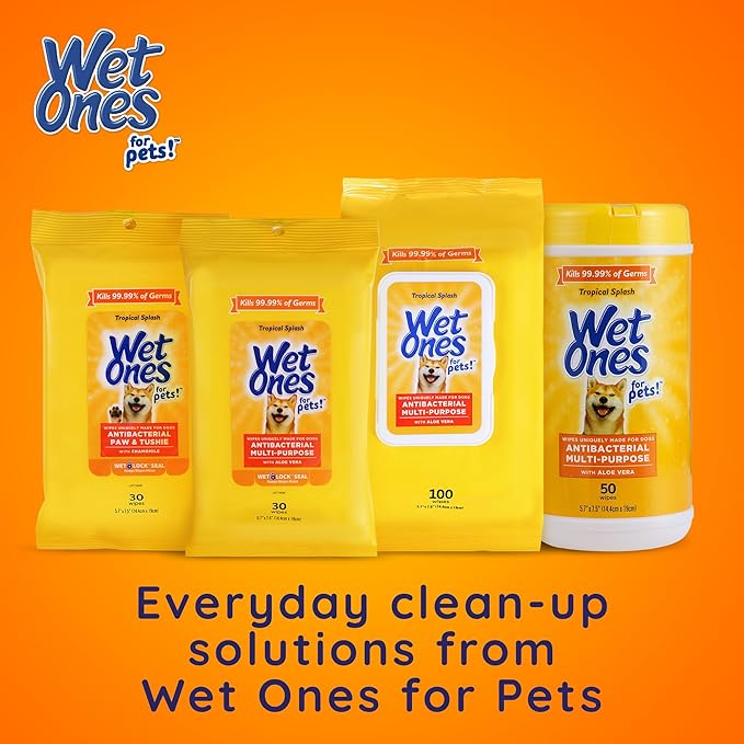 Wet Ones for Pets Antibacterial Heavy Duty Paw Wipes, 50ct, Tropical Splash Scent | Thick Dog Cleaning Wipes, Durable Disposable Dog Wipes for Paws, Scented Dog Wipes