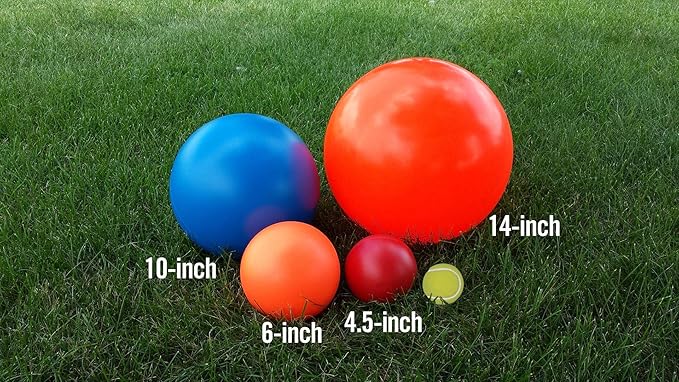Virtually Indestructible Best Ball for Dogs, 10-inch