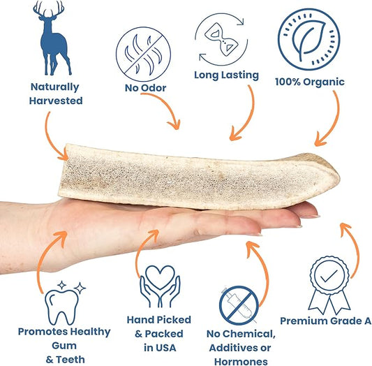 Split Antler for Dogs - Natural Dog Antlers for Aggressive Chewers - USA Sourced Elk Antlers for Dogs Small, Medium, Large - Healthy Elk Antlers for Teeth Cleaning & Chewing Pleasure
