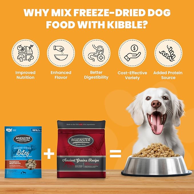 Muenster Freeze-Dried Meatballs Grandpa Joe's Beef Recipe for Dogs, 4 oz Package