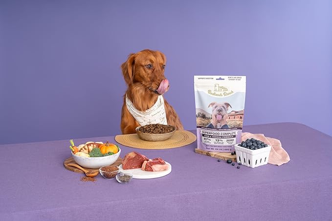 Superfood Complete, Air-Dried Adult Dog Food, High Protein, Zero Fillers, Superfood Nutrition by Katherine Heigl (Premium Lamb & Venison Formula, 11.5 oz.)