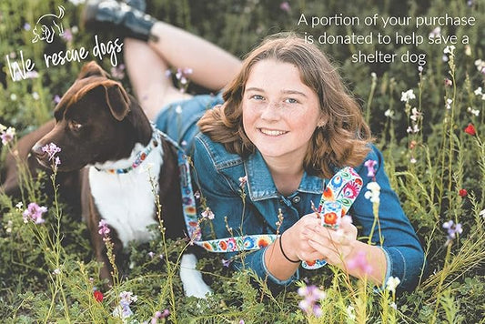 Lucky Love Dog - Easy Click Buckle Dog Collar with Leash Set Combo, Durable & Comfortable Collar for Male & Female Dogs, Pet Collar for Small to Large Dogs, Secure Fit - Ladybird Combo, Medium