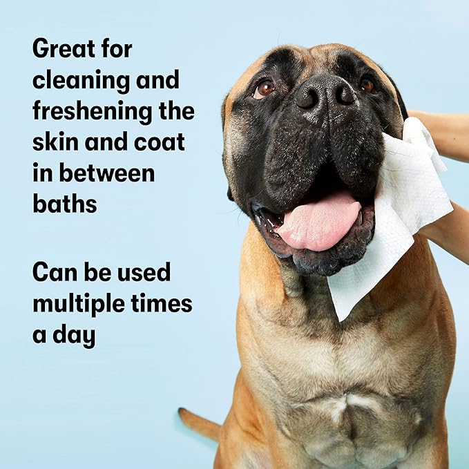 DOG by Dr Lisa - Dog Travel Wipes - Plant-Based - Natural Bathing Wipes for Dogs - Made from 100% Compostable Bamboo - Vet-Created - Vegan - Non-Toxic - Travel Size - Carton (20 per Box)