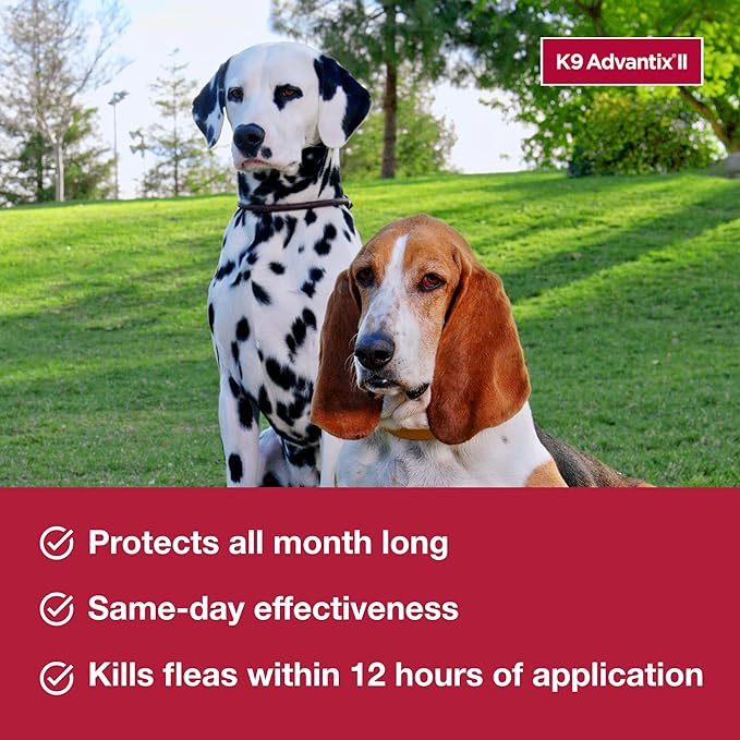 K9 Advantix II Medium Dog Vet-Recommended Flea, Tick & Mosquito Treatment & Prevention | Dogs 11-20 lbs. | 1-Mo Supply (Pack of 3)