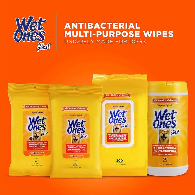Wet Ones for Pets Multi-Purpose Dog Wipes with Aloe Vera, 50 Count - 12 Pack | Dog Wipes for All Dogs in Tropical Splash, Wipes for Paws & All Purpose