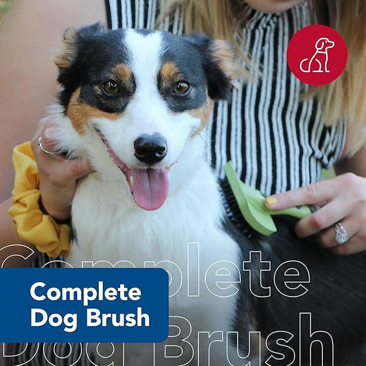 Coastal Pet Safari Comfort Grip Curry Brush for Dogs - Dog Bath and Shampoo Brush and Massager for Indoor & Outdoor Dogs with Short Hair - One Size