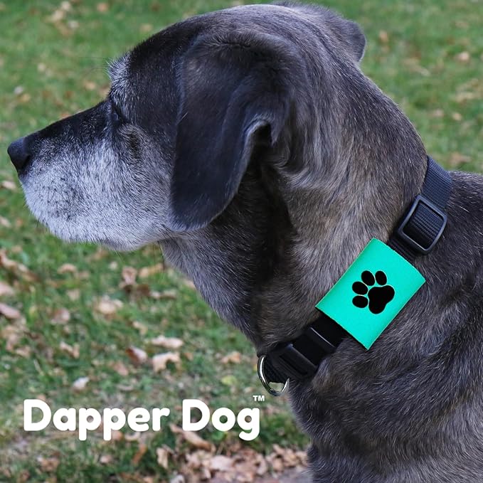 Dapper Dog Pet Tag Silencer and AirTag Holder (Teal with Black Paw)