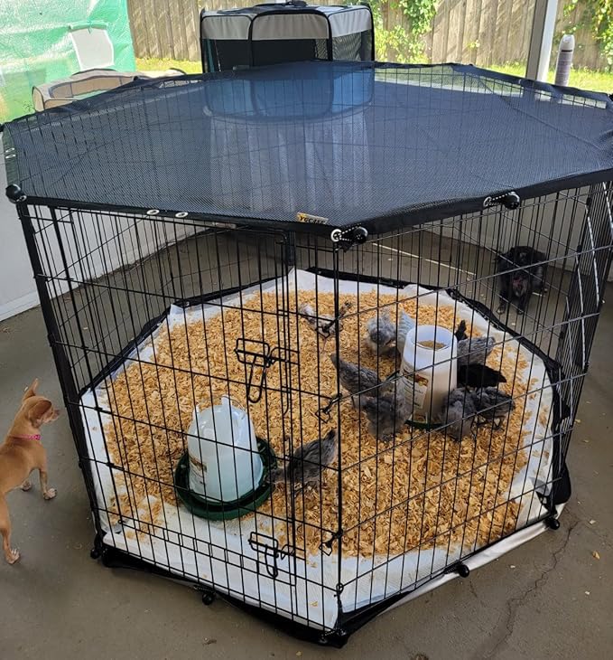 Universal Octagonal Dog Playpen Top Cover, Provide Shade and Security for Pets Outdoor and Indoor, Fits All 24" Wide 8 Panel Pet Exercise Pen (8x24 W Cover, Mesh)