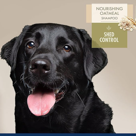 Four Paws Magic Coat Professional Series Nourishing Oatmeal De-Shedding Dog Shampoo, 16 oz.