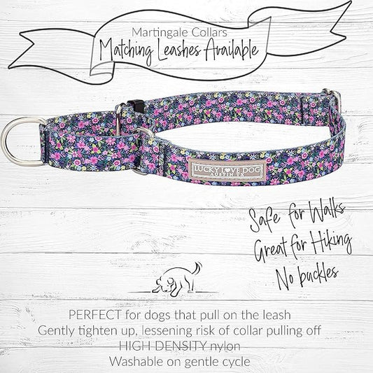 Lucky Love Dog Martingale Collar and Leash Set, Premium No Slip Collar for Small Dogs, Flower Martingale Collar for Girl Dogs, Great for Whippets, Greyhounds, and More (Primrose, Small - Combo)