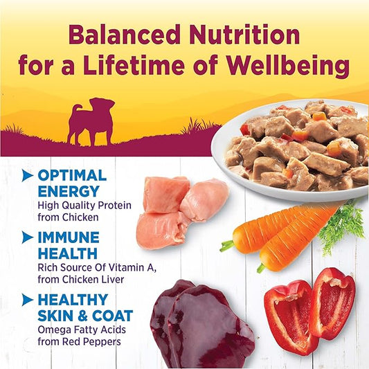 Wellness Petite Entrées Mini-Filets with Roasted Chicken, Carrots & Red Peppers in Gravy, 3-Ounce Cup (Pack of 12)