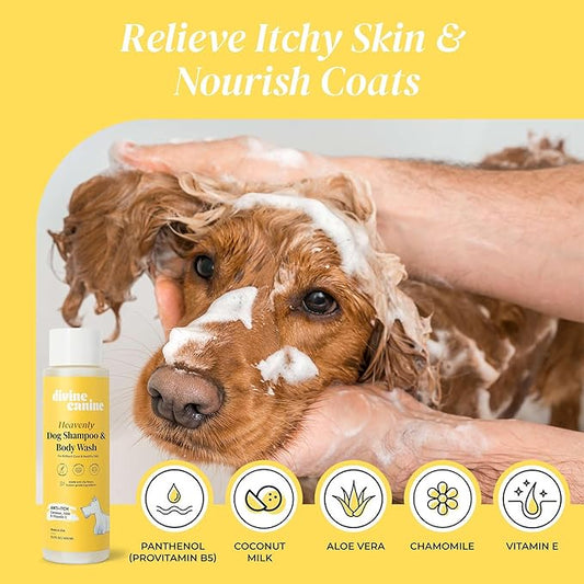 Heavenly Dog Shampoo & Body Wash - Anti-Itch - Dog Shampoos - pH Balanced Conditioning Dog Bath Blend with Collagen, Aloe, Coconut Milk, Vitamin E - Soothe Itchy Skin & Coat - 13.5oz