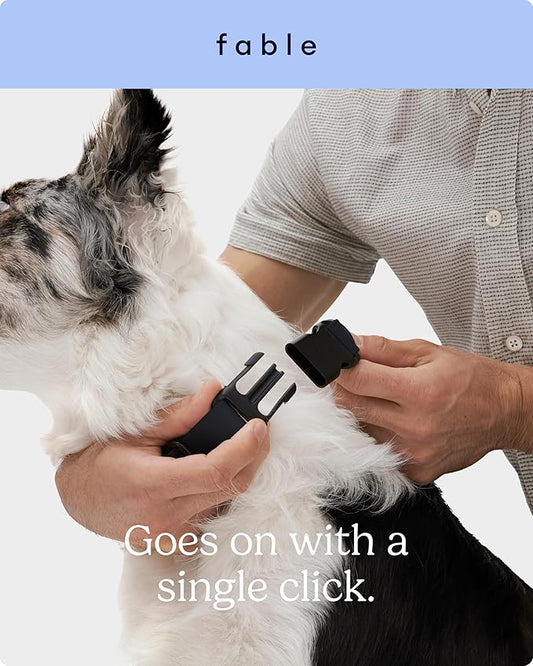 FABLE Signature Collar - Lightweight, Waterproof, & Durable Dog Collar - Coated Webbing Collar with Aluminum Buckle - Easy On/Off & Re-Sizing - Easy to Clean - Black - Medium