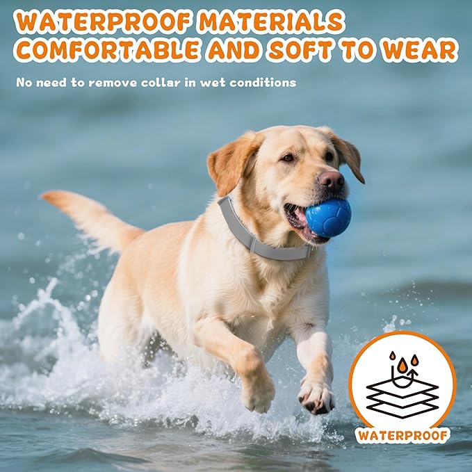 4 Pack Effective Flea Collar for Dogs, 25" Adjustable Natural Pet Flea and Tick Prevention Collars for Large Medium Small Dogs, Waterproof Fleas Ticks Collar for Puppies, 32 Months Protection, Gray