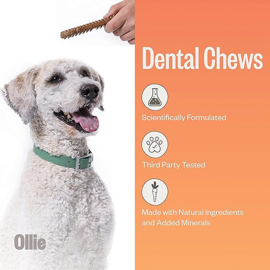 Ollie Dental Chews for Large Dogs, 4 Pack, Fresh Breath, Teeth Cleaning Treats, Sticks for Dog Oral Care, with Parsley and Cinnimon, for Pups 51 lbs and Above