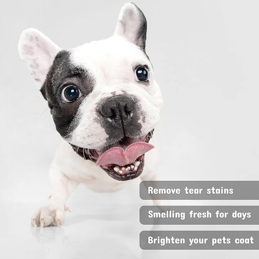 Pet Silk Brazilian Keratin Shampoo 16oz for Pets, Ideal for Shedding, Replenishes, Protects, Moisturizes and Hydrates your Pet's Coat, Restores Softness and Shine, Infused with Keratin and Silk!