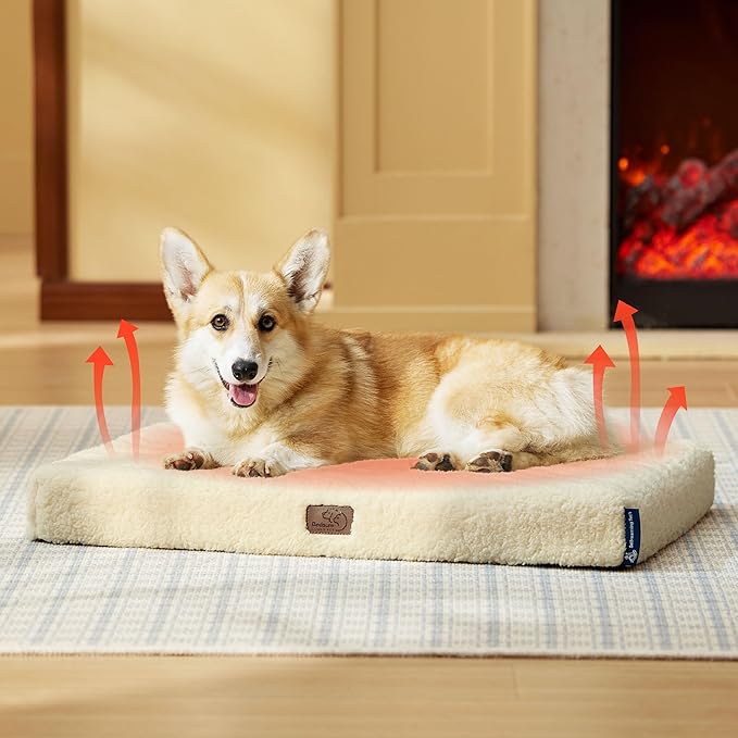 Bedsure Medium Dog Bed for Medium Dogs – Self Warming Orthopedic Dog Beds with Removable Washable Cover, Egg Crate Foam Pet Bed Mat, Ashen Cream