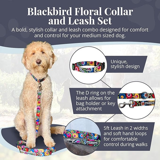 Lucky Love Dog - Easy Click Buckle Dog Collar with Leash Set Combo, Durable & Comfortable Collar for Male & Female Dogs, Pet Collar for Small to Large Dogs, Secure Fit - Blackbird Combo, Medium