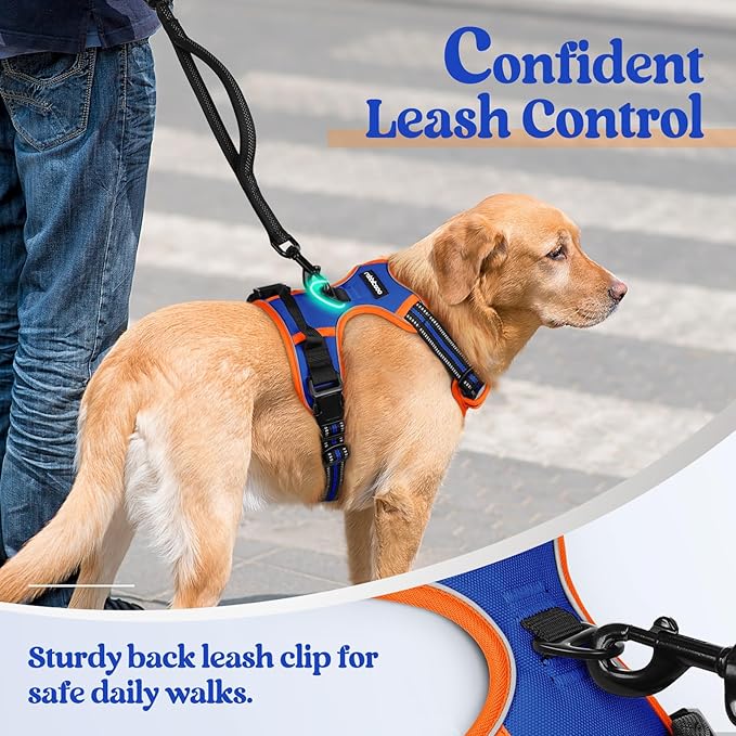 rabbitgoo Dog Harness No Pull with 2 Leash Clips, Adjustable Soft Padded, Reflective Oxford No Choke Pet Vest with Easy Control Handle for Medium Sized Dogs, Blue & Orange, M