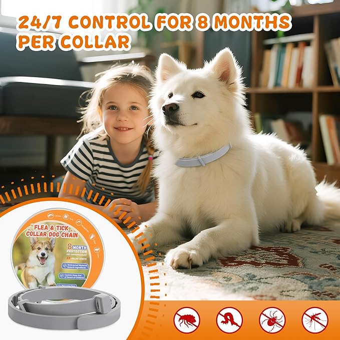 4 Pack Effective Flea Collar for Dogs, 25" Adjustable Natural Pet Flea and Tick Prevention Collars for Large Medium Small Dogs, Waterproof Fleas Ticks Collar for Puppies, 32 Months Protection, Gray