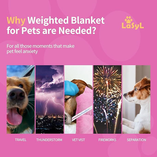 LaSyL Weighted Blanket for Pets | Thunder Blanket for Dogs Anxiety | Premium Soft Minky | Relaxation & Calming & Anti Anxiety | Used in Car, Bed, Couch | Pink, Washable Medium 32" L x 40" W