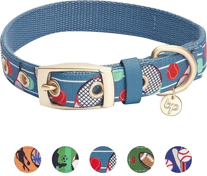 Blueberry Pet 5 Patterns Sports Fan Tennis Canvas Adjustable Dog Collar with Metal Buckle - Teal Blue, Neck 17-20.5", for Large Breed