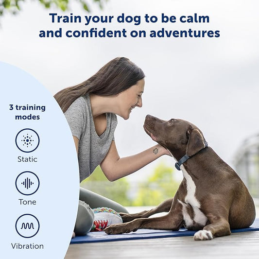 PetSafe 600 Yard Remote Training Collar – 2 Dog Kit – Tone, Vibration & 15 Levels of Safe & Humane Static Stimulation, Medium Range Option to Train Off Leash Dogs, Waterproof, Durable, Rechargeable