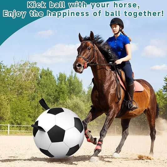 QDAN Herding Dog Balls Horse Ball - 25 inch Horse Toys Herding Ball for Dogs, Large Giant Ball Toys for Australian Shepherd Dog Toys, Black