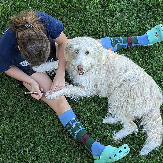 Dog Nail Polish Pens, 15 Colors Pet Nail Polish Set Quick Dry Pet Safe Nail Polish Non Toxic Brush Tip Nail Polish Pens for Puppy and Cat or Small Pets