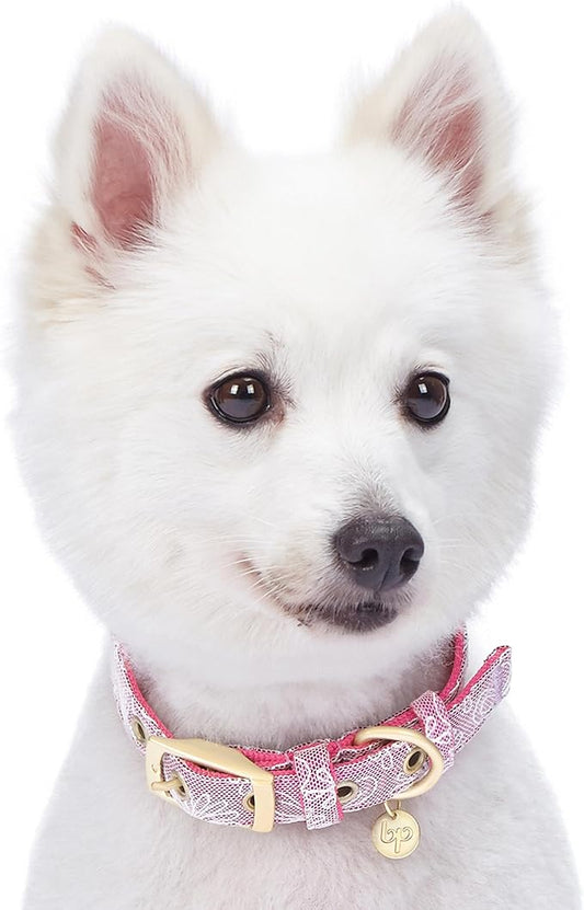 Blueberry Pet 4 Colors Glam Life Lace Floral Stamping Adjustable Dog Collar in Iconic Pink, Neck 9-12.5", for Small Breed