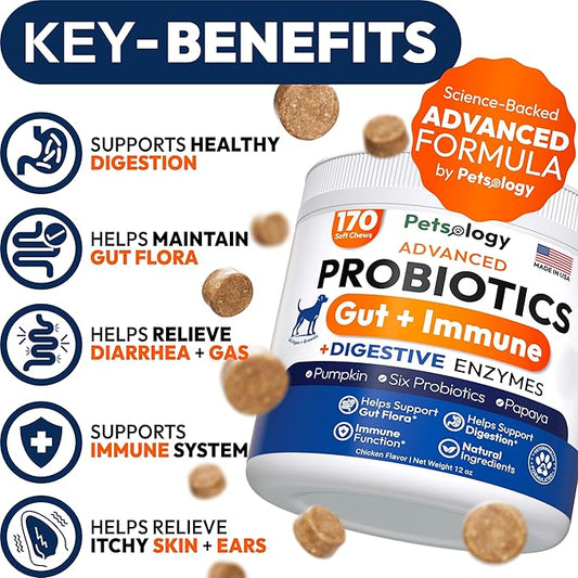 Probiotics for Dogs - 170 Dog Probiotics Chews - Digestive Enzymes & Prebiotics - Support Gut Health, Diarrhea, Gas & Constipation Relief - Itchy Skin, Allergies, Yeast Balance - Advanced Supplement