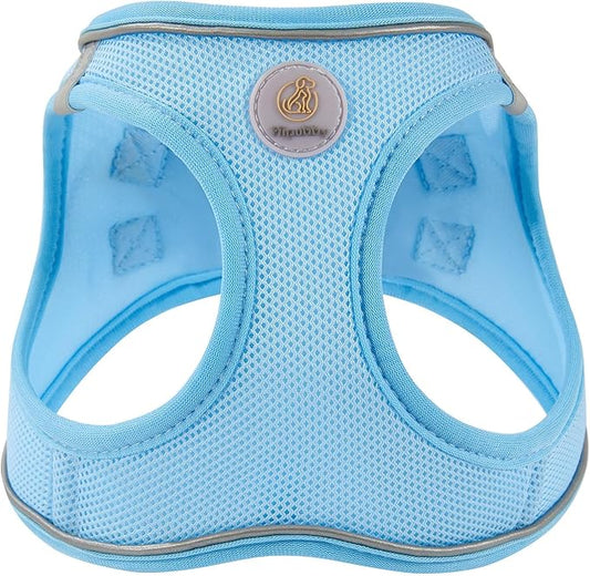 Dog Harness and Leash Set, No Pull Soft Mesh Puppy Harness for Small Medium Dogs, Cats - Step in Reflective Breathable Lightweight Vest Harness for Walking, Training - Blue, M