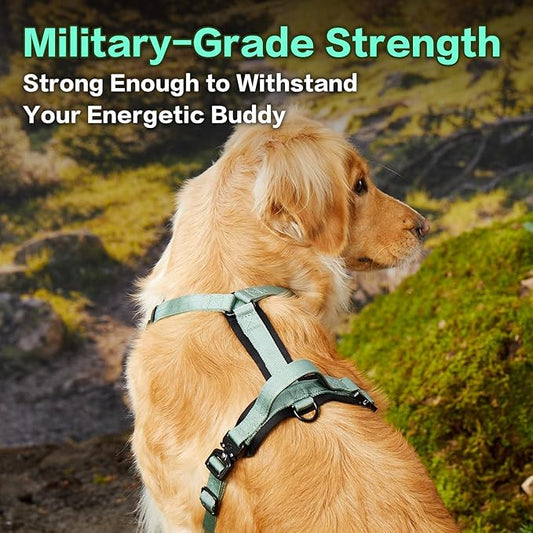 PawsPassion Dog Harness for X-Large Dogs, No Pull Dog Harness Easy Walk with Metal Hardware, Ergonomic Y-Shaped Design, Soft Padding, Padded Handle, Durable High-Tensile Nylon (Seabreeze, XL)