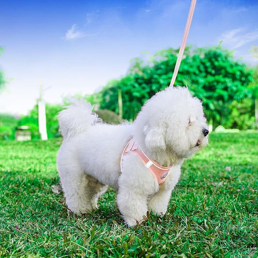 Dog Harness and Leash Set, No Pull Soft Mesh Puppy Harness for Small Medium Dogs, Cats - Step in Reflective Breathable Lightweight Vest Harness for Walking, Training - Pink, XS