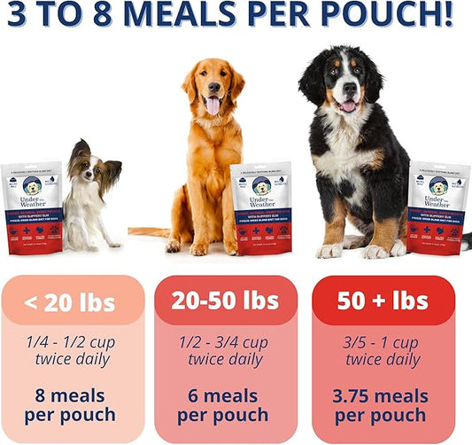 Under the Weather Bland Diet for Dogs | Easy to Digest Stomach Support for Sick Dogs | Contains Electrolytes, All Natural | 1 Pack - Turkey, Oatmeal, Sweet Potato & Slippery Elm for Dogs - 6oz
