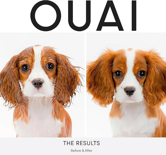 OUAI Fur Bébé Pet Shampoo, Mercer Street Scent - Dog Shampoo and Coat Wash for Hydrating, Cleansing and Adding Shine - Pet Supplies by OUAI (16 Fl Oz)