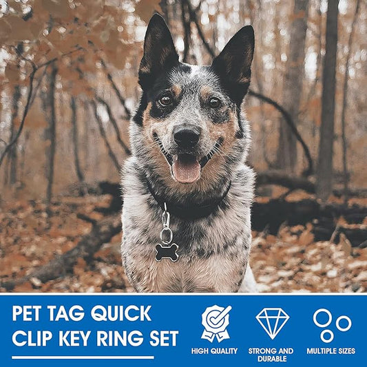 TIESOME Dog Tag Clips with Rings, 6 PCS Dog ID Tag Clips 18 PCS Tag Rings Stainless Steel Pet Tag Clip Easy Change Dog ID Tag Holder Quick Release for Dog Cat Collar and Harness 1.3 x 0.6 in
