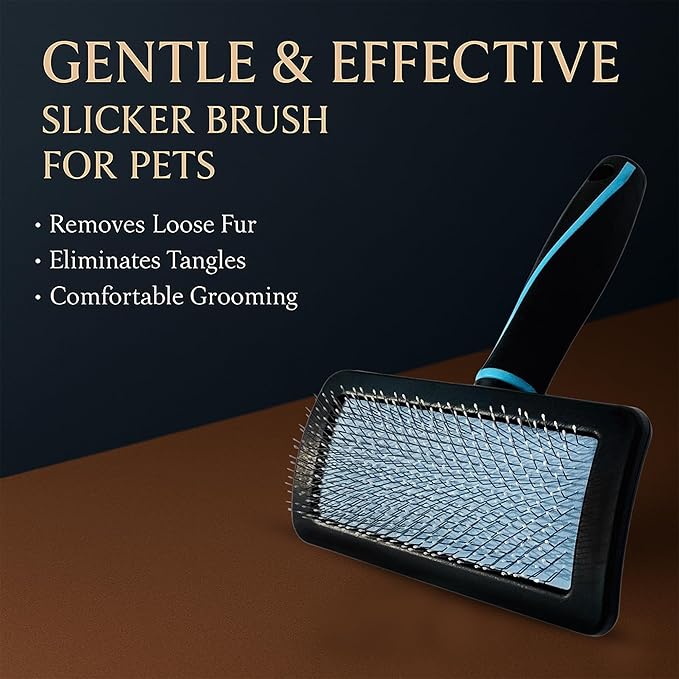 Pet Slicker Brush (Small Size, Black) for Grooming Pet Hair with Fluff Detangle Style β Dog Brush for Long & Short Haired Dogs for Goldendoodles β Curved Pin for β Removes Tangles & Loose Fur