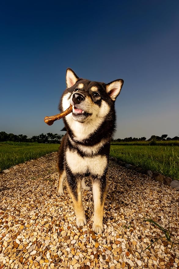 N-Bone The Original Bone Chicken Flavor Large 2 Count, 6.4oz-Bag