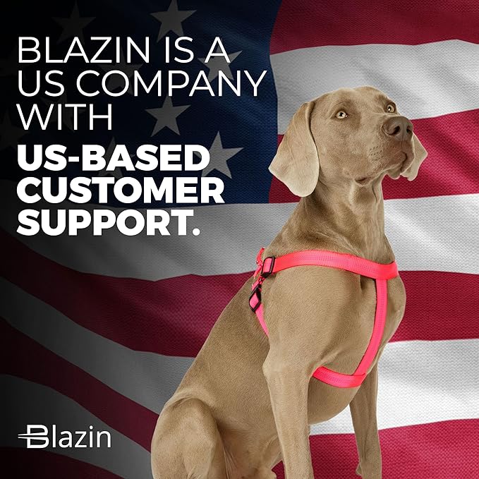 BLAZIN Reflective Dog Harness - 'Color Me Happy!' Adjustable Step-in Reflective Nylon Vest Harness - Neoprene Padded for Extra Comfort (Medium, Pink)