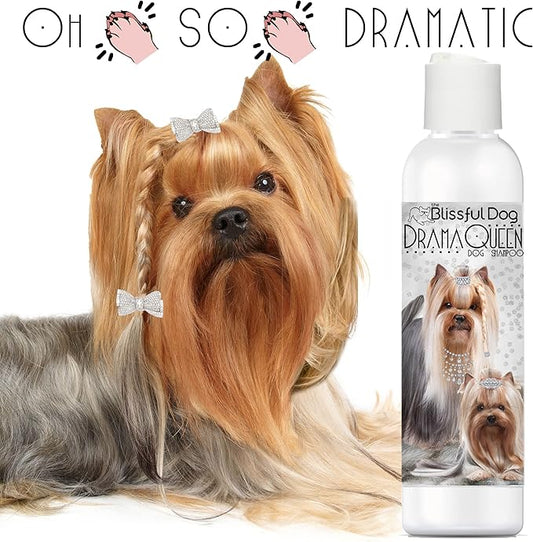 The Blissful Dog Drama Queen Luxury Dog Shampoo - Yorkshire Terrier, Nourishing Pet Supplies, Dog Grooming Supplies for Soft, Silky, Shiny Coat, Moisturizing Puppy Shampoo, 16 oz.