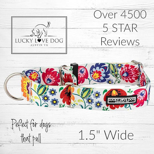 Lucky Love Dog Wide Martingale Dog Collar - No-Slip, Durable, & Soft Webbing 1.5 inch Martingale Collar for Dogs Male and Female - Ideal for Training & Walking, Stylish Ladybird Pattern, Medium Size