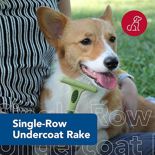 Coastal Pet Safari Double Row Undercoat Rake - Gentle Dematting and Deshedding Grooming Comb for Dogs